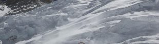 Carlos Soria y su grupo en ruta hacia el campo 3 del Kangchenjunga.  (Expedición BBVA)
