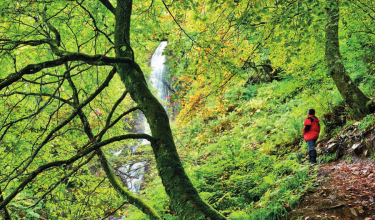 Cascada del Xiblu en el Hayedo de Montegrande (Asturias)