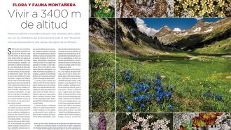 Artículo "Vivir a 3.400 m", revista Desnivel nº 427. Especial Aneto