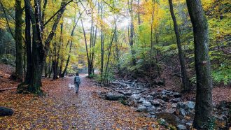 Paseo otoñal junto al arroyo de Ninglinspo. 📷 OLIVIER LEGARDIEN